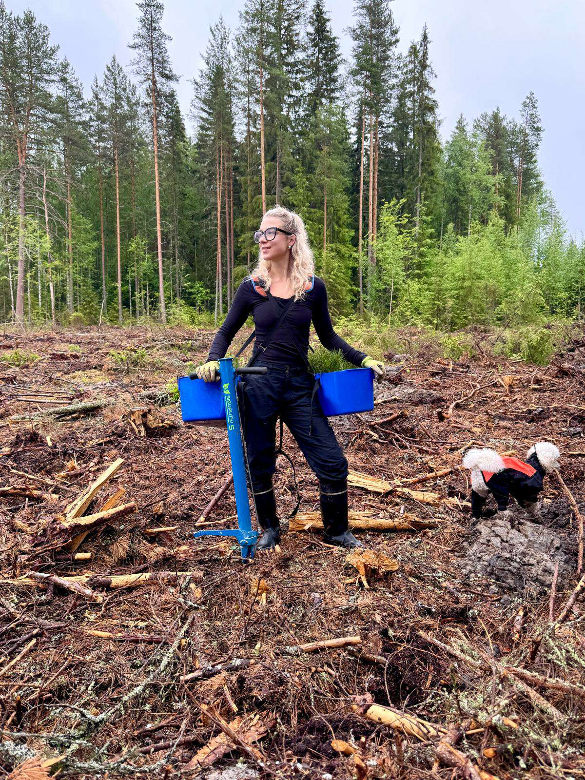Moona arjessa metsässä