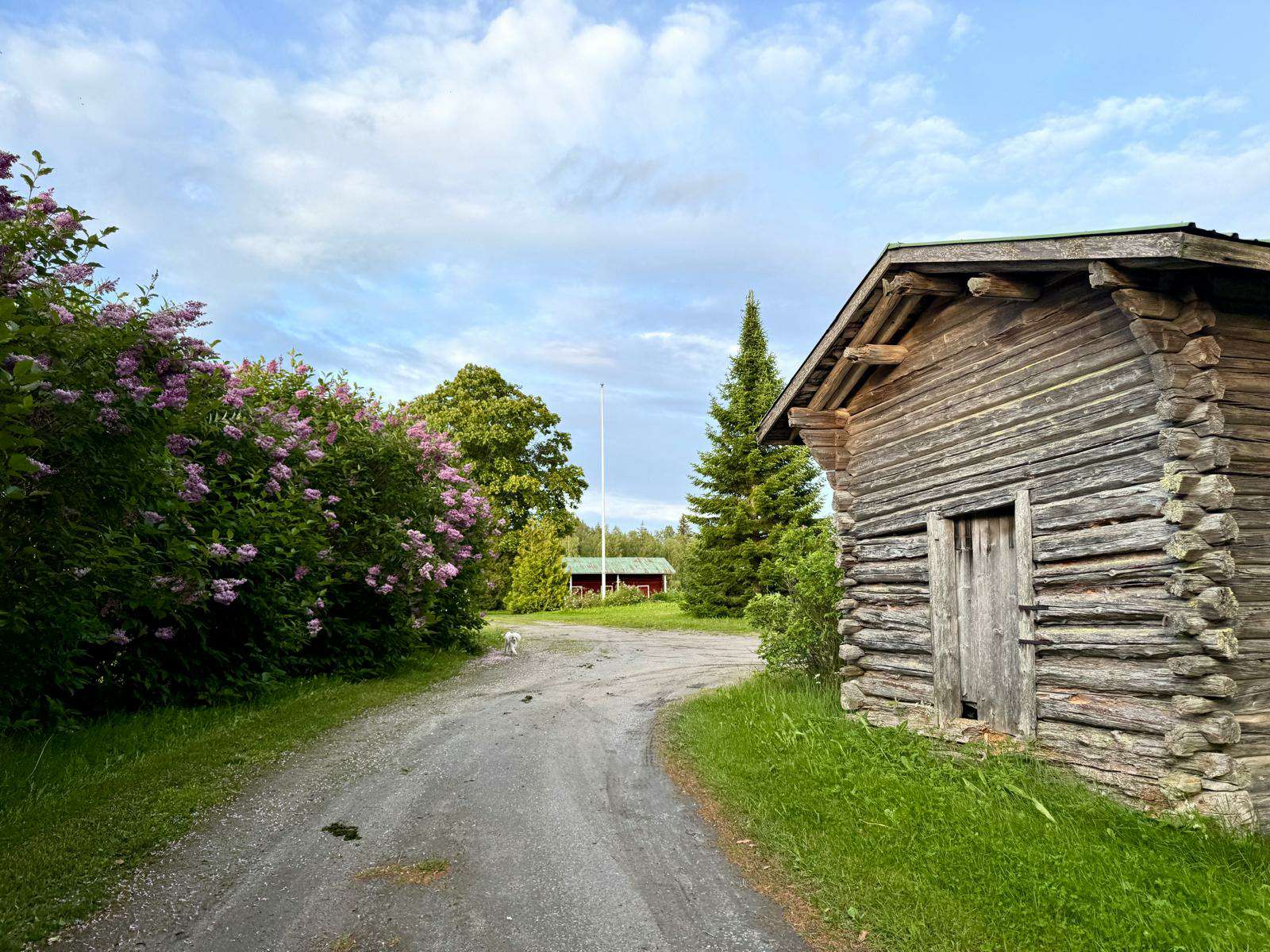 Maisemakuva teemasisällön alussa